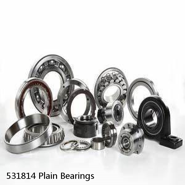 531814 Plain Bearings