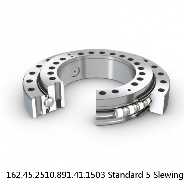 162.45.2510.891.41.1503 Standard 5 Slewing Ring Bearings